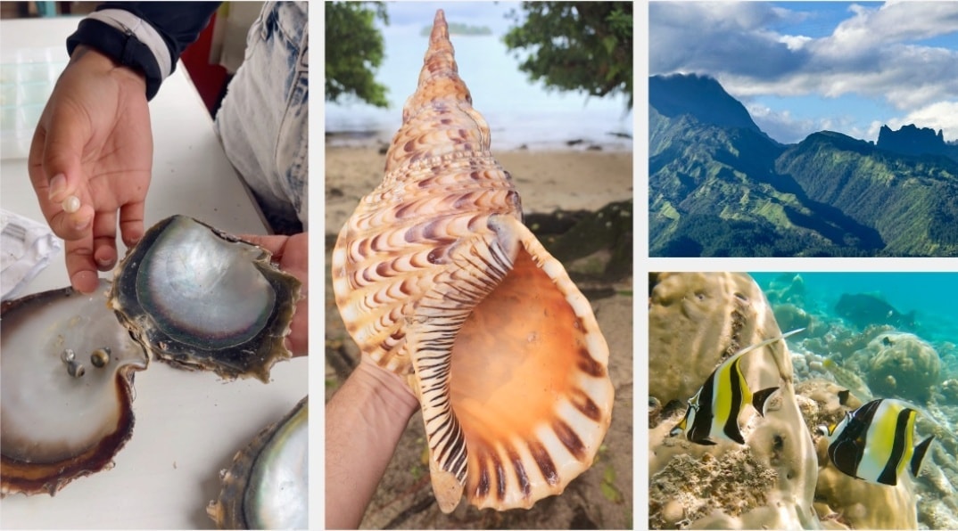 Beyond fishing in French Polynesia — mountain sunset, coral reef, and Tahitian black pearl necklace