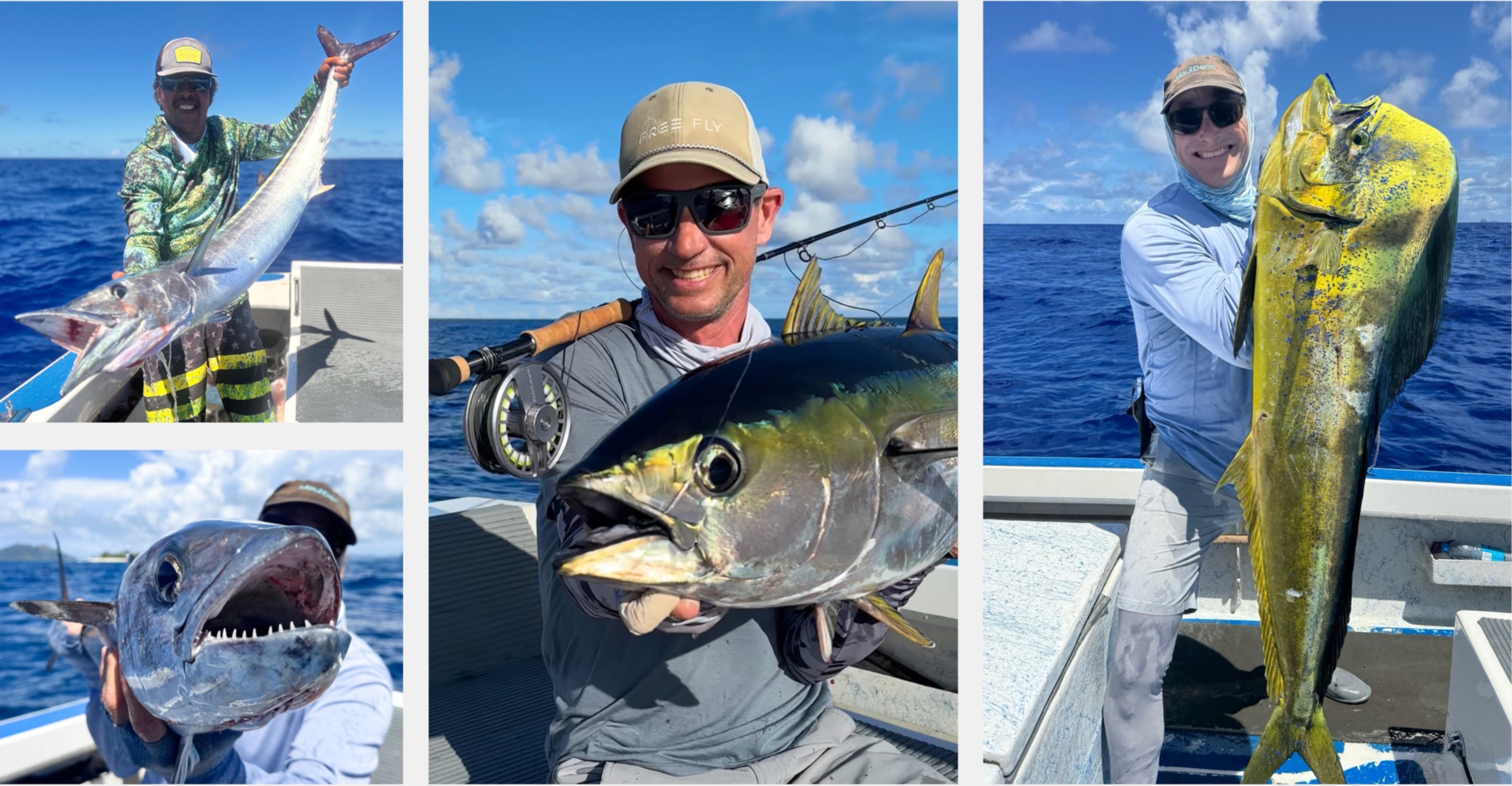 Bluewater fishing French Polynesia — mahi-mahi, dogtooth tuna and yellowfin tuna on fly and spinning gear