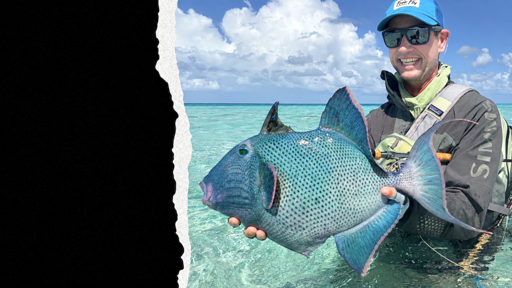 Blue Triggerfish on Fly — angler with a trophy blue triggerfish on the crystal-clear flats of French Polynesia