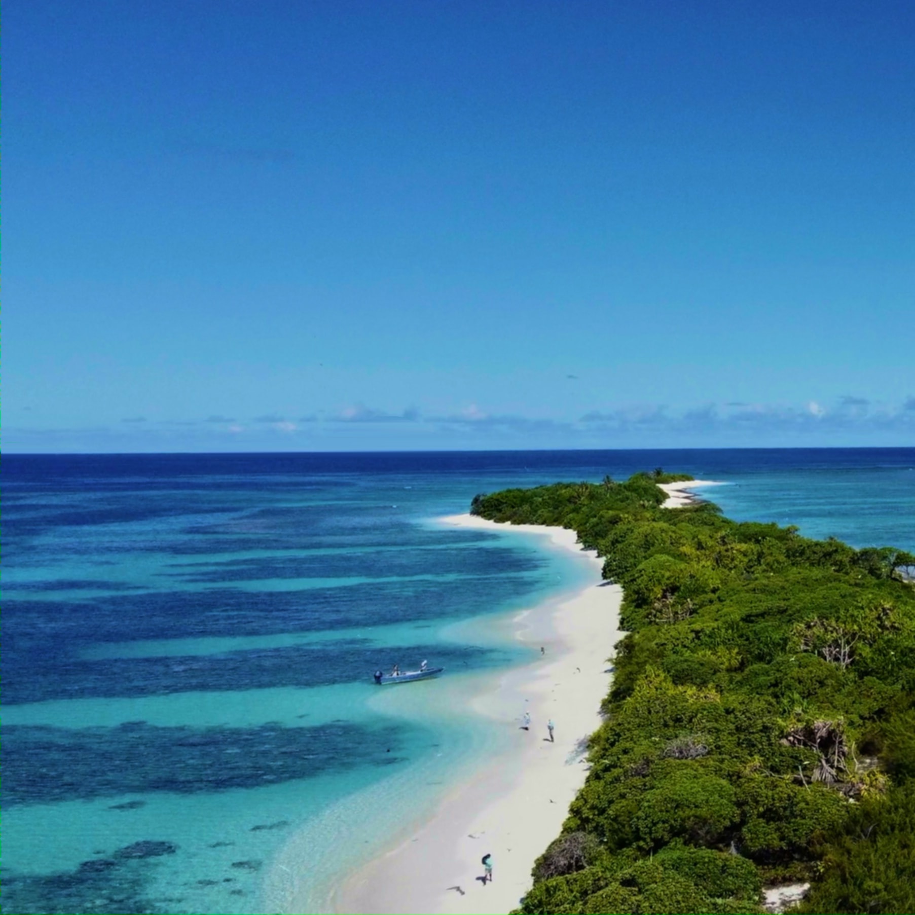 Aerial view of remote Tuamotu atoll — pristine white sand beach, turquoise lagoon, and lush tropical vegetation in French Polynesia