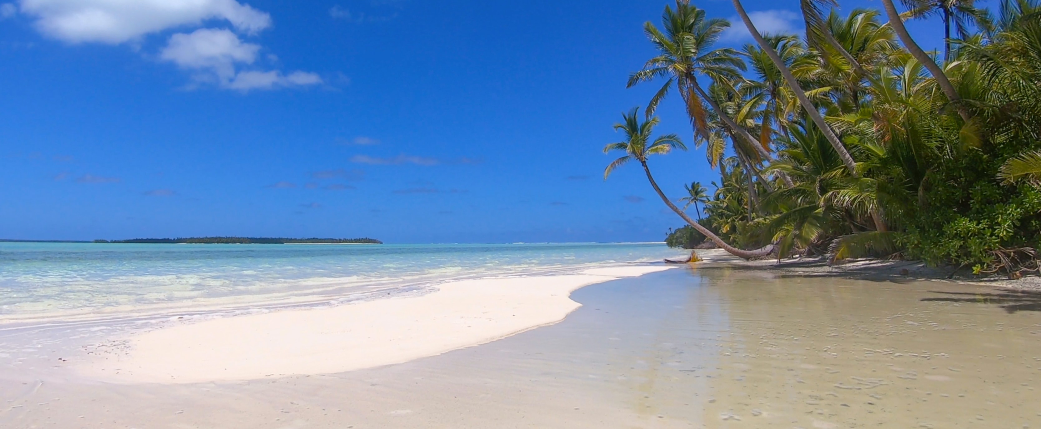 Pristine tropical beach - South Pacific fly fishing destination