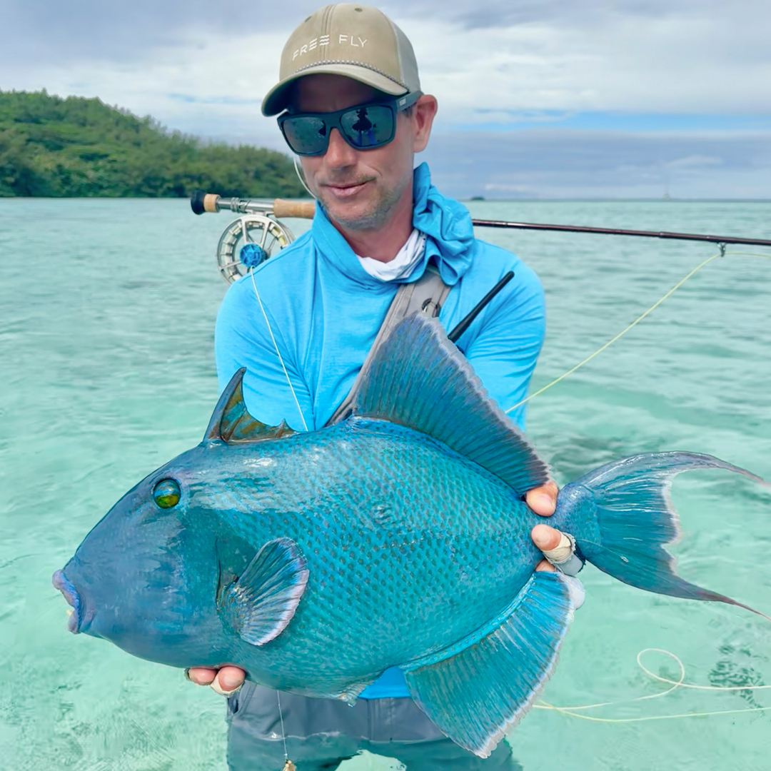 Blue triggerfish catch