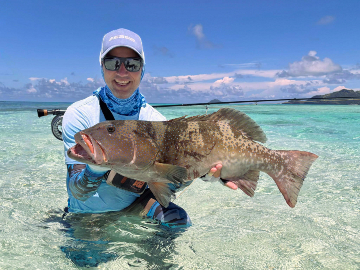 Coral trout on fly in French Polynesia — stunning leopard coral trout caught on the reef flats of the South Pacific