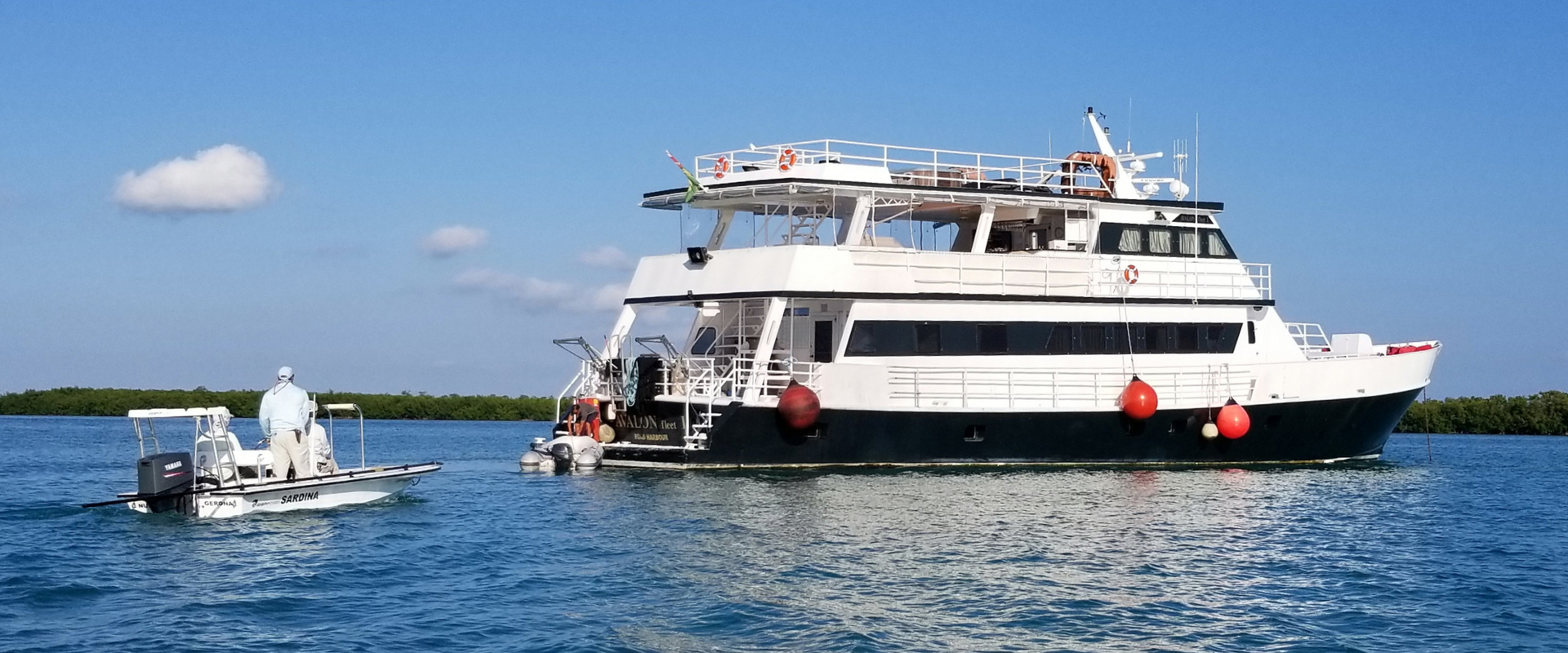 Luxury yacht anchored in tropical waters